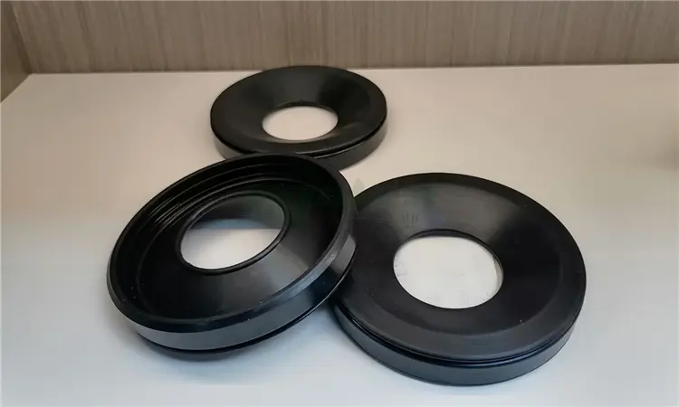 Rubber Seals (2)