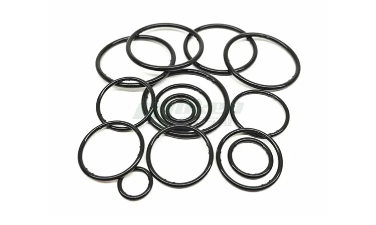 Rubber O-ring with protrusions (2)