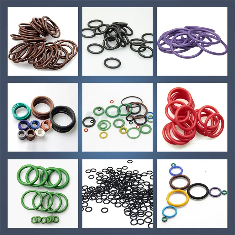 O-Ring of the Fuel Injector (2).jpg